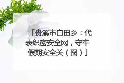贵溪市白田乡：代表织密安全网，守牢假期安全关（图）