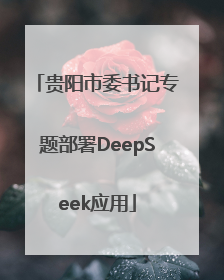 贵阳市委书记专题部署DeepSeek应用