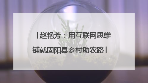 赵艳芳：用互联网思维铺就固阳县乡村助农路
