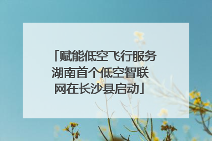 赋能低空飞行服务 湖南首个低空智联网在长沙县启动