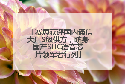 赛思获评国内通信大厂S级供方，跻身国产SLIC语音芯片领军者行列