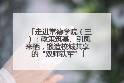 走进常德学院（三）：政策筑基、引凤来栖，锻造校城共享的“双师铁军”