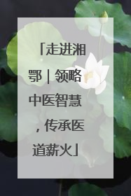 走进湘鄂｜领略中医智慧，传承医道薪火
