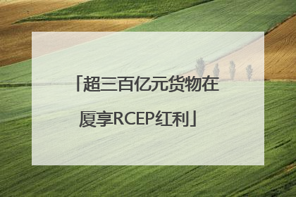超三百亿元货物在厦享RCEP红利