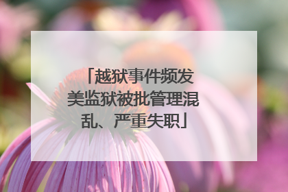 越狱事件频发 美监狱被批管理混乱、严重失职