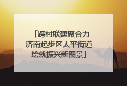 跨村联建聚合力 济南起步区太平街道绘就振兴新图景