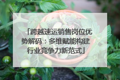 跨越速运销售岗位优势解码：多维赋能构建行业竞争力新范式