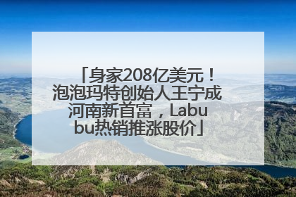身家208亿美元！泡泡玛特创始人王宁成河南新首富，Labubu热销推涨股价