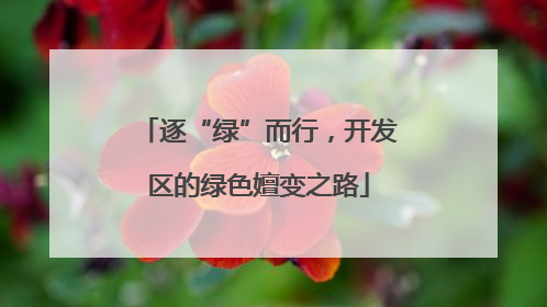 逐“绿”而行，开发区的绿色嬗变之路