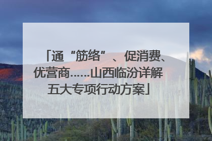 通“筋络”、促消费、优营商……山西临汾详解五大专项行动方案