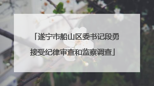 遂宁市船山区委书记段勇接受纪律审查和监察调查