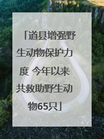 道县增强野生动物保护力度 今年以来共救助野生动物65只