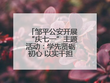 邹平公安开展“庆七一”主题活动：学先贤砺初心 以实干担当护航新征程