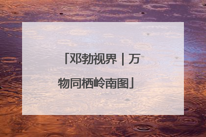 邓勃视界｜万物同栖岭南图