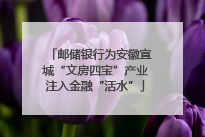 邮储银行为安徽宣城“文房四宝”产业注入金融“活水”