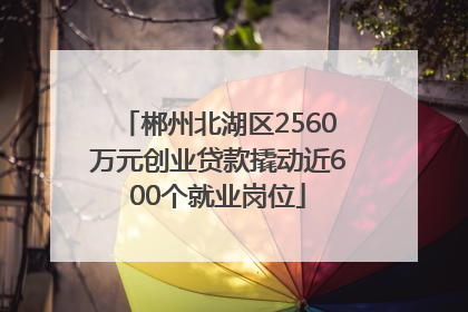 郴州北湖区2560万元创业贷款撬动近600个就业岗位