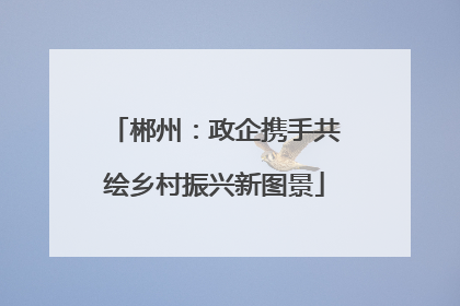 郴州：政企携手共绘乡村振兴新图景