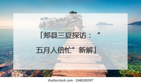 郏县三夏探访：“五月人倍忙”新解