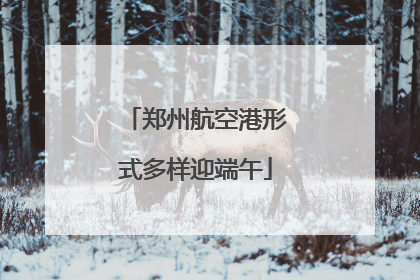 郑州航空港形式多样迎端午