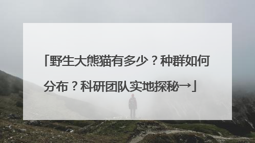 野生大熊猫有多少？种群如何分布？科研团队实地探秘→