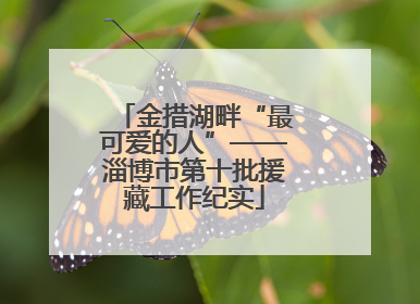 金措湖畔“最可爱的人”——淄博市第十批援藏工作纪实