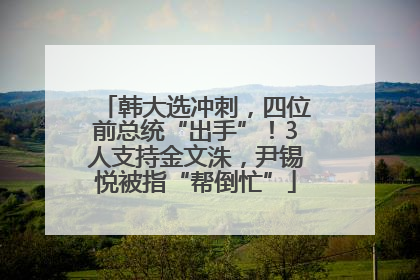 韩大选冲刺，四位前总统“出手”！3人支持金文洙，尹锡悦被指“帮倒忙”