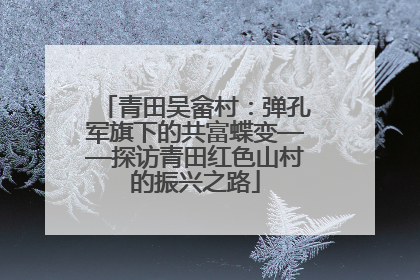 青田吴畲村：弹孔军旗下的共富蝶变——探访青田红色山村的振兴之路