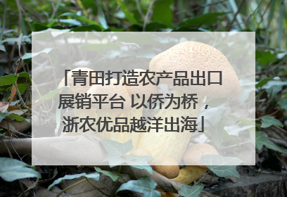 青田打造农产品出口展销平台 以侨为桥，浙农优品越洋出海