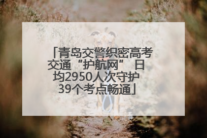 青岛交警织密高考交通“护航网” 日均2950人次守护39个考点畅通