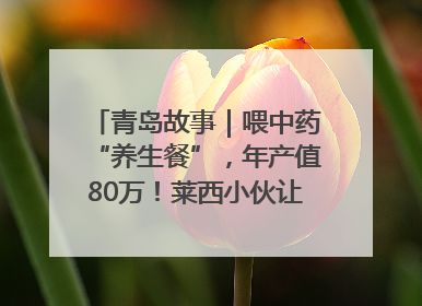 青岛故事｜喂中药“养生餐”，年产值80万！莱西小伙让“自家产”锦鲤“游”向全国
