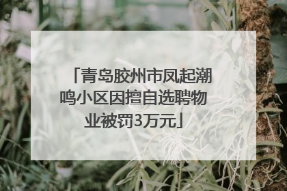 青岛胶州市凤起潮鸣小区因擅自选聘物业被罚3万元