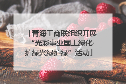 青海工商联组织开展“光彩事业国土绿化·扩绿兴绿护绿”活动