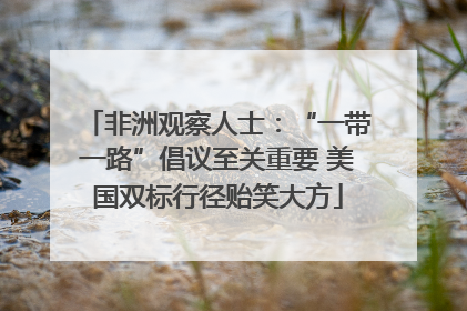 非洲观察人士：“一带一路”倡议至关重要 美国双标行径贻笑大方