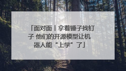 面对面丨拿着锤子找钉子 他们的开源模型让机器人能“上学”了
