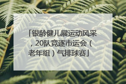 银龄健儿展运动风采，20队竞逐市运会（老年组）气排球赛