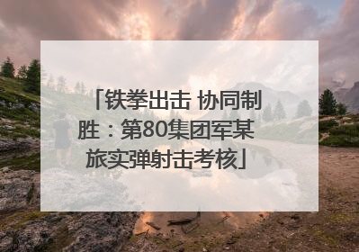 铁拳出击 协同制胜：第80集团军某旅实弹射击考核
