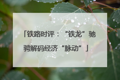 铁路时评：“铁龙”驰骋解码经济“脉动”