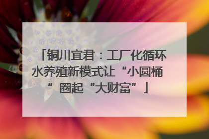铜川宜君：工厂化循环水养殖新模式让“小圆桶”圈起“大财富”