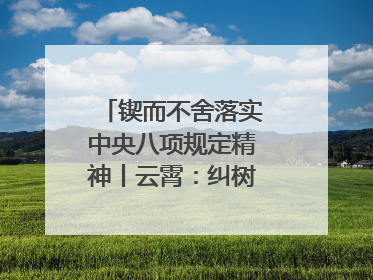 锲而不舍落实中央八项规定精神丨云霄：纠树并举扬正气 作风建设谱新章