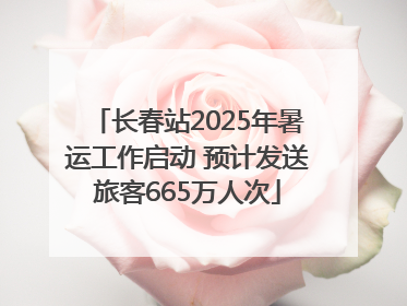长春站2025年暑运工作启动 预计发送旅客665万人次