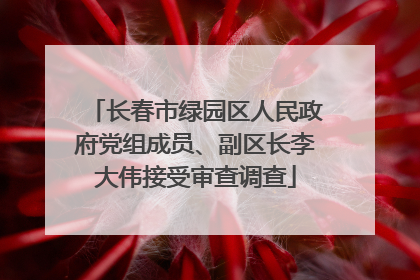 长春市绿园区人民政府党组成员、副区长李大伟接受审查调查