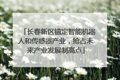 长春新区锚定智能机器人和传感器产业，抢占未来产业发展制高点