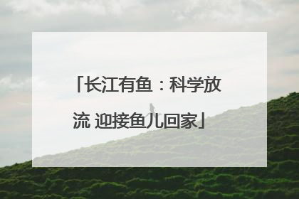 长江有鱼：科学放流 迎接鱼儿回家