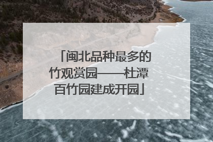 闽北品种最多的竹观赏园——杜潭百竹园建成开园