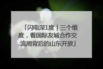 闪电深1度｜三个维度，看国际友城合作交流周背后的山东开放