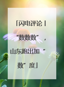 闪电评论丨“数数数”，山东跑出加“数”度