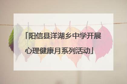 阳信县洋湖乡中学开展心理健康月系列活动