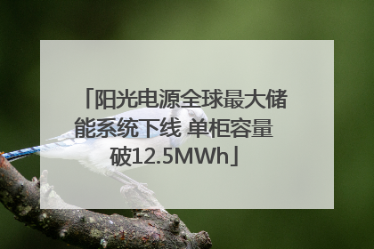 阳光电源全球最大储能系统下线 单柜容量破12.5MWh