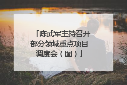 陈武军主持召开部分领域重点项目调度会（图）