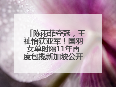 陈雨菲夺冠，王祉怡获亚军！国羽女单时隔11年再度包揽新加坡公开赛冠、亚军